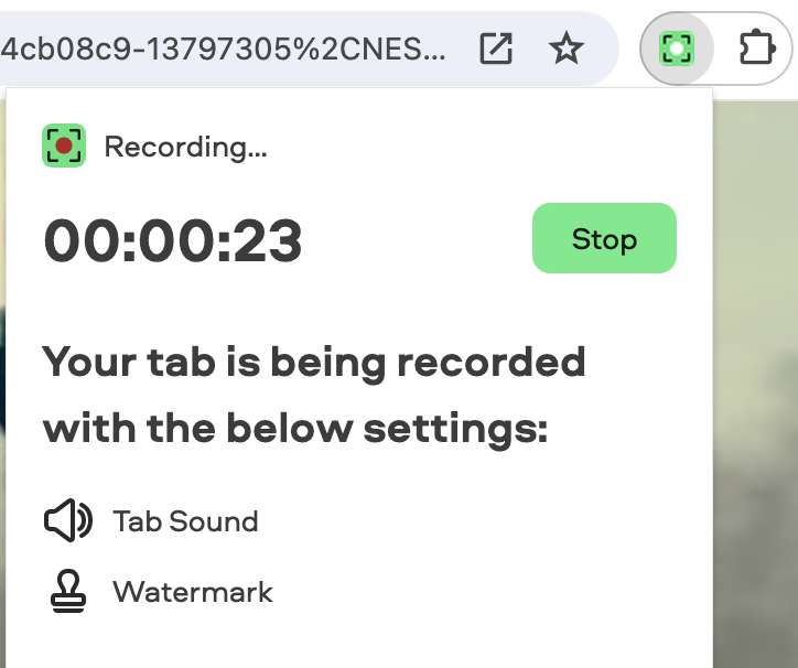 record-netflix
