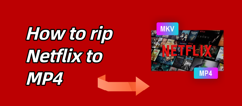 rip-netflix
