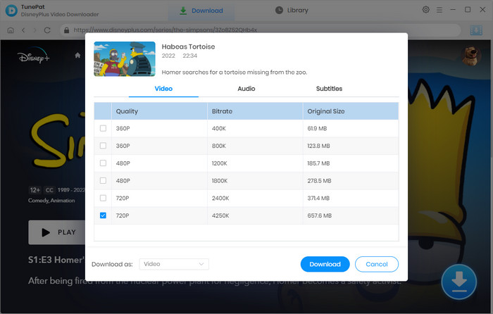 TunePat Disney+ Video Downloader