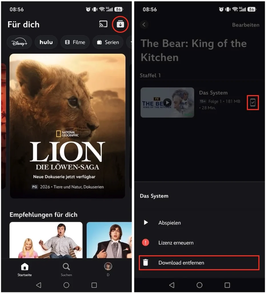 Disney+-Downloads entfernen