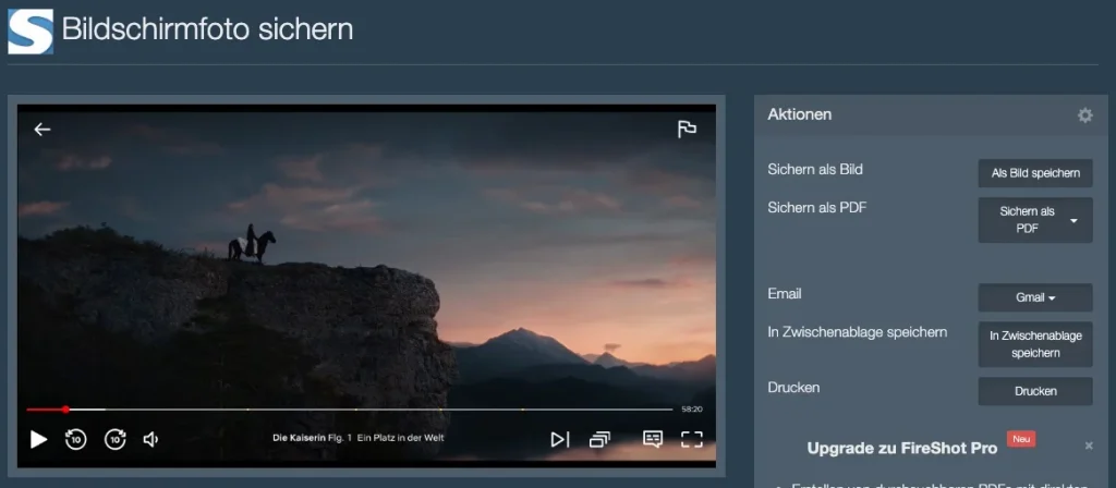 Mache einen Screenshot von Netflix mit FireShot