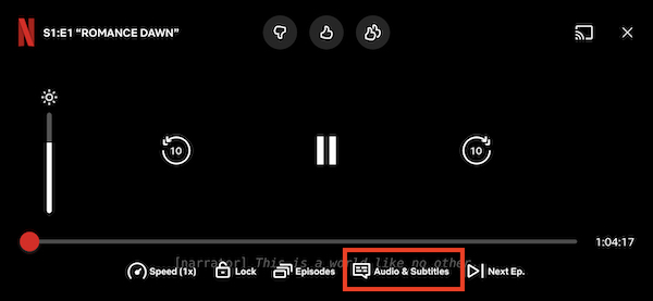 Netflix Subtitles Mobile