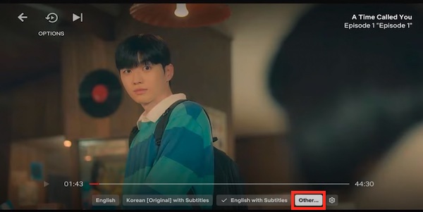 Netflix Subtitles TV