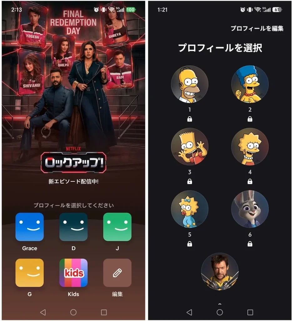 Netflix vs Disney:プロフィール比較