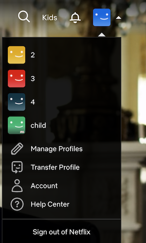 Netflix account