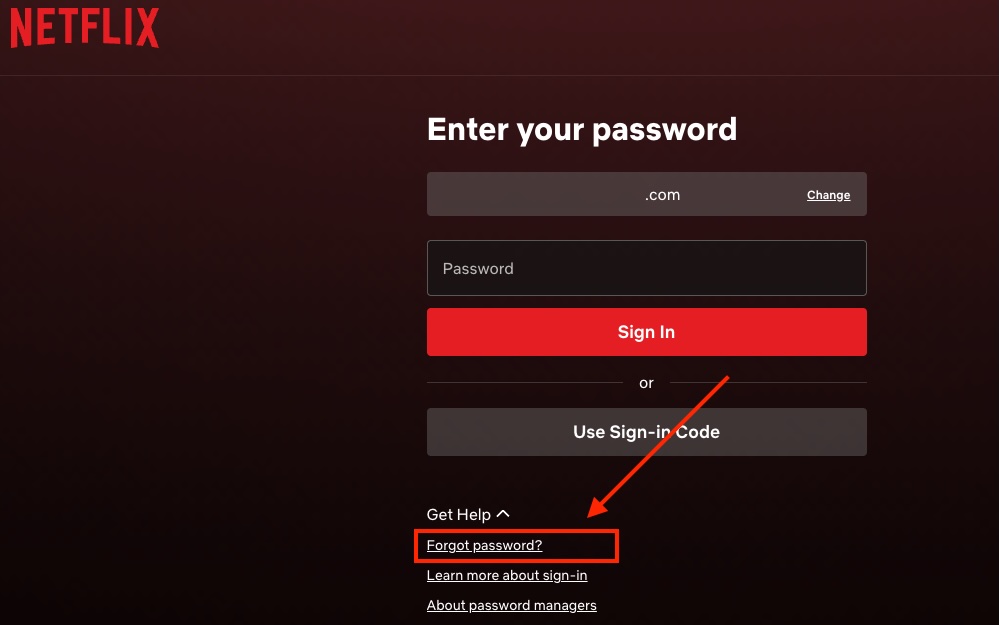 Netflix forgot password