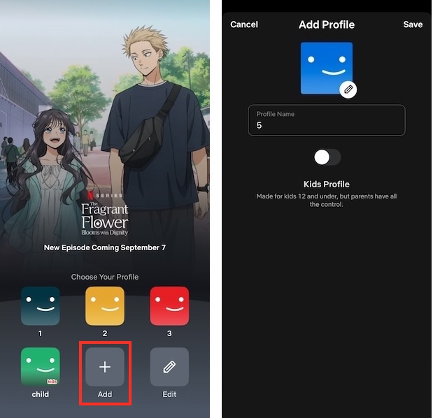 create netflix profiles